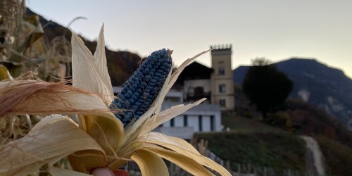 Dornach – l’agricoltura, come la viviamo noi
